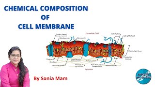 Chemical Composition of Cell Membrane [upl. by Hpejsoj]