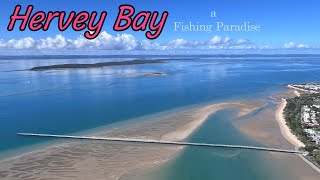 Hervey Bay a Fishing Paradise [upl. by Ettesil]