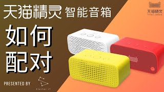 新手如何配对天猫精灵智能扬声器 HOW TO SETUP Tmall Genie AI Speaker Tmall Genie  Tmall Genie R  Tmall Genie IN [upl. by Anreval145]