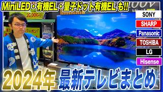 【最新テレビ】各社まとめてご紹介！ミニLED・有機EL・量子ドット有機ELの違いもわかりやすく解説！【2024年最新】 [upl. by Paulo]