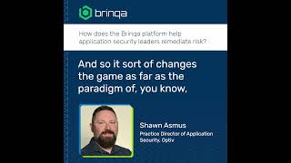 How does the Brinqa platform help application security leaders remediate risk [upl. by Tobi]