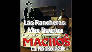 Banda Machos  Puras Rancheras [upl. by Ecirtnom399]