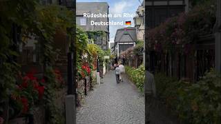 Rüdesheim am Rhein [upl. by Niotna420]