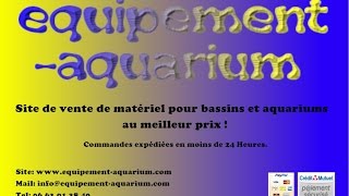 Incubateur artificiel pour poissons [upl. by Titus]