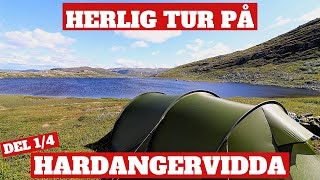 Vikbekkfjellet  Hardangervidda  En vindfull dag på vei innover til Vestre Butjønn Del 14 [upl. by Anitreb]