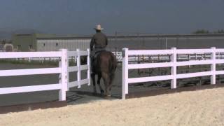 Teaching a horse to open a gate [upl. by Renraw]