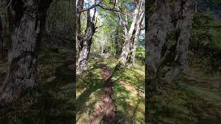 Si hay belleza es en el Valle del ENCANTO BLANCO primavera 2024 patagoniaargentina hiking nature [upl. by Huntlee]