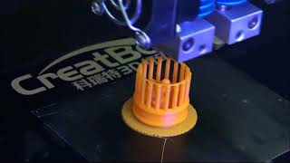 Birdcage 3D Printing Creatbot DX Model 3D Printer Machine Review [upl. by Katalin517]