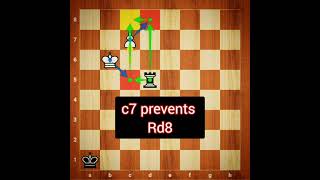 Endgame study Pawn vs Rook quotSaavedra Positionquot [upl. by Tolliver483]