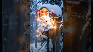 Christmas carol malayalam yahoodiyayile shortfeed malayalam christmas music [upl. by Notlrac]