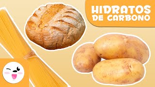 ¿Qué son los hidratos de carbono  Alimentación saludable para niños [upl. by Winou]