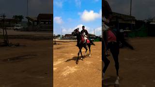 Dhruhi Horse 🐎 Riding  horse horses ghoda horseriding horselover ytvideo shortsfeed dhruhi [upl. by Bailar]