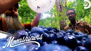 Making Blueberry Lemonade Alcohol  Moonshiners  Discovery [upl. by Taddeo479]