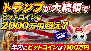 年内バブルくるぞ！！！ トランプ当選で大勝利！ １BTCが2000万円の仮想通貨バブル突入 [upl. by Ytsim196]