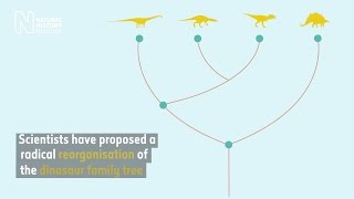 Dinosaur family tree gets major makeover  Natural History Museum [upl. by Buttaro]