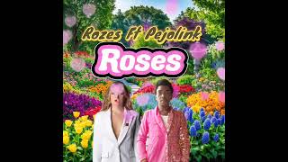 Chainsmokers  Roses ftRozes amp Pejolink Fix tape [upl. by Creight430]