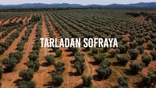 Tarladan Sofraya “ZEYTİN” [upl. by Christensen355]