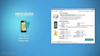 How to install and activate iPhone Backup Extractor [upl. by Leuqer]