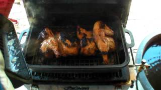 Teryaki Cornish Game Hens [upl. by Ahseki]