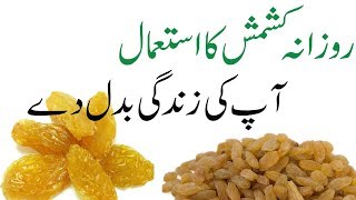 Kishmish ke fayde in urdu  Raisin Health benefits in urdu  Kishmish [upl. by Deny976]