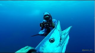 Best of North Carolina Spearfishing  Wahoo amp mix [upl. by Hecker]