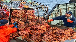 Amazing Catch Hundreds Tons Alaska King Crab On the Sea  Amazing Crab Fishing With Modern Boat [upl. by Slocum]