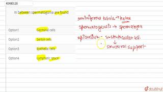 In between spermatogonia are found [upl. by Sirahc604]