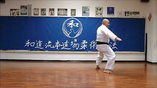 Pinan Nidan  Wado Ryu 2nd Pinan Kata  Wado Ryu Hon Dojo  Karate video [upl. by Malissia798]