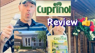 Cuprinol Garden Shade’s paint Review [upl. by Lydia]