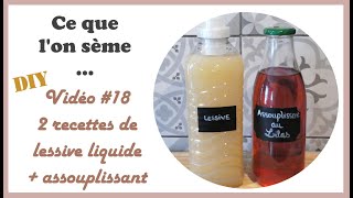 18 DIY 👌  2 recettes quotécolomiquesquot de lessive liquide  assouplissant [upl. by Mccallum]