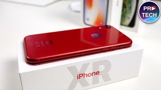 Полный обзор iPhone XR Все что надо знать [upl. by Halladba]