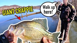 COPS CALLED for Catching GIANT CRAPPIE Ohio River Crappie Fishing [upl. by Cis]