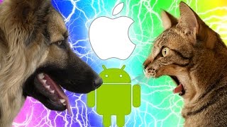 CHAT VS CHIEN  Jeu mobile WTF [upl. by Franz]