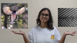 Euraxess Science Slam India 2023 Finalist Ishita Jain  Entry Video [upl. by Netram184]