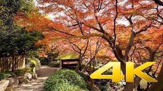 HappoEn Garden  Tokyo  八芳園  4K Ultra HD [upl. by Leavy]