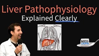 Liver Explained Clearly  Pathophysiology LFTs Hepatic Diseases [upl. by Jacobson]