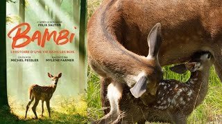 Bambi L’histoire d’une vie dans les bois Bande annonce VF 2024 Trailer VF [upl. by Evonne]