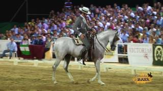 José Ramón Pérez García con Bacardi en el Campeonato de Andalucía 2017 [upl. by Busiek]