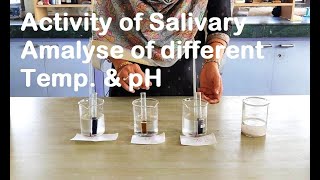 ACTIVITY OF SALIVARY AMYLASE AT DIFFERENT TEMPERATURE AND pH [upl. by Harimas79]