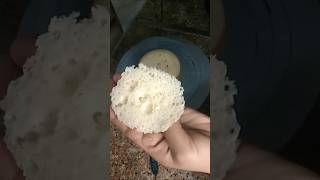 Premix se Sponge Cake Kese Banate Hain  Vanilla Cake Recipe Homemadecake trending shorts viral [upl. by Melas]