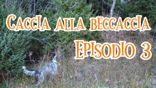 Beccacce d’Appennino… Caccia alla beccaccia 2024 Ep3  Woodcock hunting 2024  Ep3 [upl. by Ardnosak]