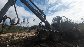 🌲 Käferholz  Jagd mit John Deere 1470G und Fichtenmoped 550 xpg 🌲 2  2 [upl. by Harland]