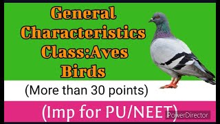 GENERAL CHARACTERISTIC OF BIRDSCLASS AVES MORE THAN 30 POINTS FOR PUC  NEET CET OTHER EXAMS [upl. by Coit457]