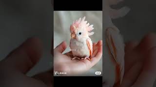 wonderful cute white mackowiak Bird [upl. by Aeslek]