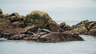 Discover the Isles of Scilly with a FlySail day trip [upl. by Eciuqram943]