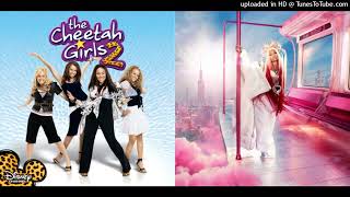 The Cheetah Girls X Nicki Minaj  Amigas Cheetahs Everybody Short Mashup [upl. by Enuj]