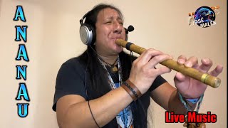 ANANAU  Native Indian Music cover Jose Males [upl. by Misty]