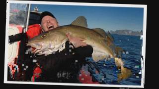 NORWAY COD FISHING  HALIBUT COAL FISH WOLF FISH LING  DREAM FISHING ADVENTURE HOLIDAYS [upl. by Cohligan]