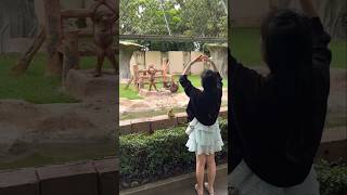 This girl from China wanted to feed banana to this monkey [upl. by Latsyrhc]