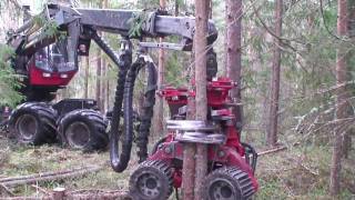 SP 451 LF with multi tree epuipment on Valmet 9013 [upl. by Nairolf]